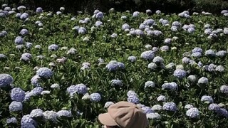 几年过去了，现在我要去旅行了:)) 呵呵