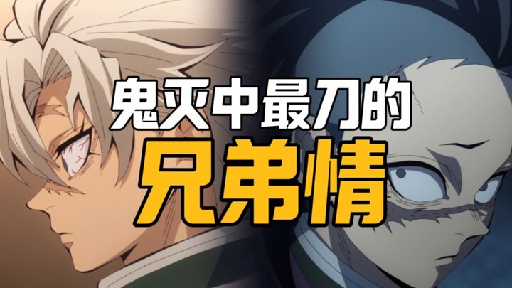 Why Are the Inosuke Brothers the Most Heartbreaking Bond in Demon Slayer?