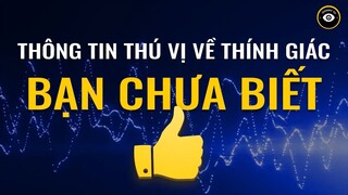 Bài Kiểm Tra Thính Giác Thú Vị- Bạn Có Phải Là Siêu Nhân- #kienthuc