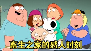 恶搞之家最感人的一集，皮特生命垂危，布莱恩捐出自己的肾