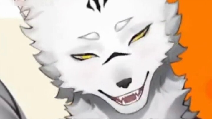 Have you ever seen a wolf eating dog food?
