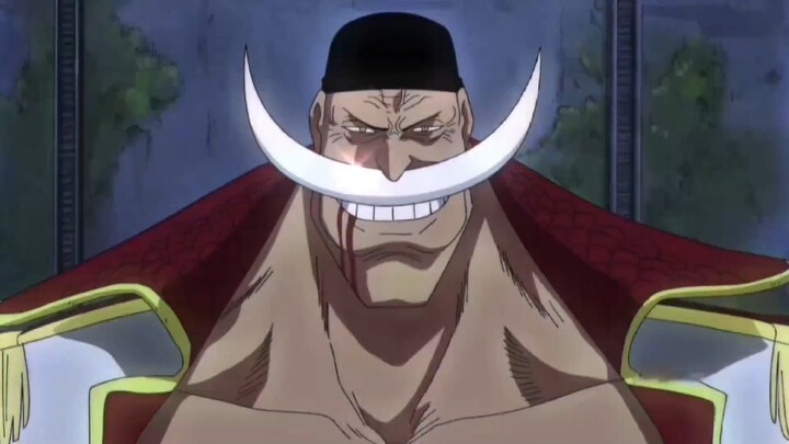 Whitebeard is indeed the strongest of the Four Emperors
