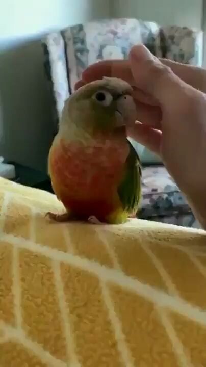 ต้องให้ฉันเป็นฝ่ายเริ่มก่อนเหรอ?