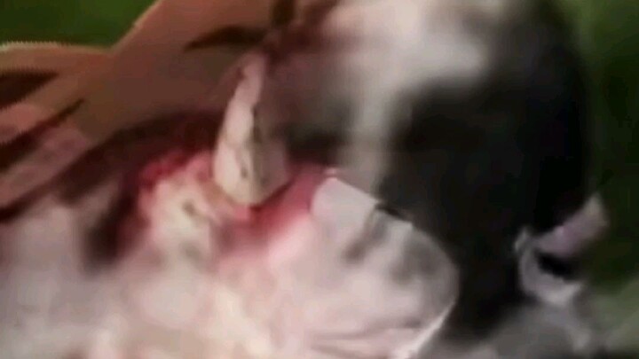 tập cuối tui thấy cảnh này bùn quá 😞😢