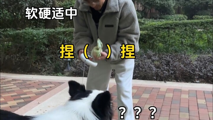 Dog Owners vs. Cat Owners: Those Secretly Satisfying Moments