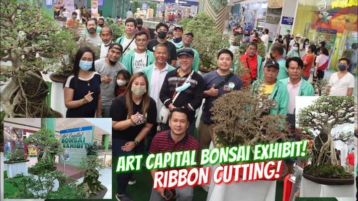 ART CAPITAL BONSAI CLUB | EXHIBIT @ SM CENTER ANGONO | RIBBON CUTTING | Tenrou21