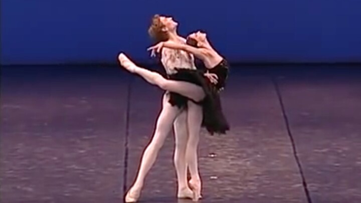 Low-Definition Black Swan by Polina, Shao Bao's High-Definition Commentary