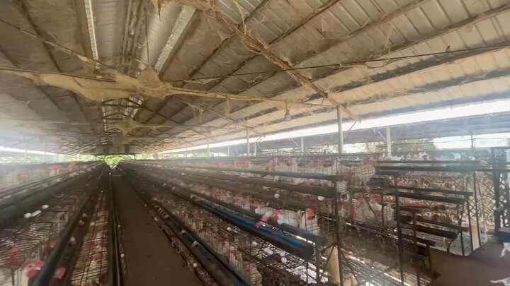 成年人的世界，一半是烟火，一半是清醒；新的一天，早安！