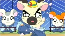 แฮมทาโร่ แก๊งจิ๋วผจญภัย ปี4 ตอนที่ 35