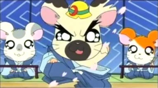 แฮมทาโร่ แก๊งจิ๋วผจญภัย ปี4 ตอนที่ 35