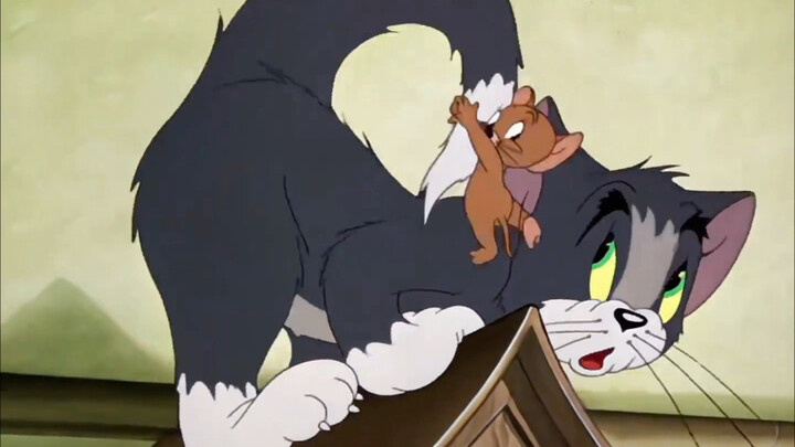 In the first episode, Tom is the national champion mouse catcher, and Jerry is the weakest mouse in 