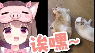 猪猪公主：我们家猫哪会抓老鼠啊！不让我给它们抓就不错了😭😭