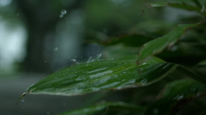 【การแบ่งปันเนื้อหา】คอลเลกชันวิดีโอคลิปที่วางจำหน่ายเชิงพาณิชย์: Rain