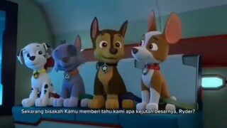 paw patrol Episode Spesial Mighty Pups Subtitle Indonesia