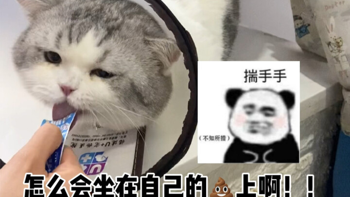 I stupidly walked out of the house again...