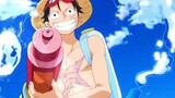 The Straw Hat Pirates' Summer Leisure Daily Life
