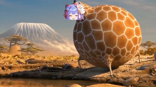 【Azi】Azi minum air