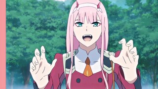 amv zero two
