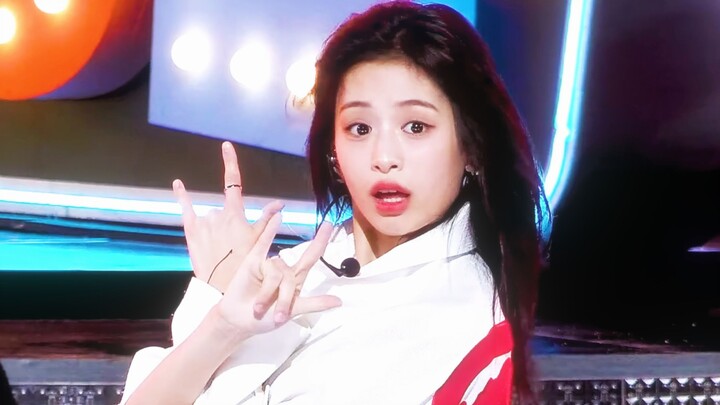 The company didn't provide makeup, so the puppy doesn't really need it.