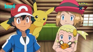 pokemon xy 68 (252) h