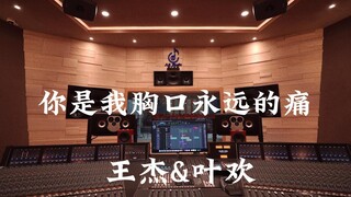在百万豪装录音棚大声听 王杰&叶欢《你是我胸口永远的痛》【Hi-res】