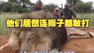 They even dared to fight lions