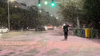 ดูสิ! ที่นี่ฝนตกเป็นซากุระจริงๆนะ!!!