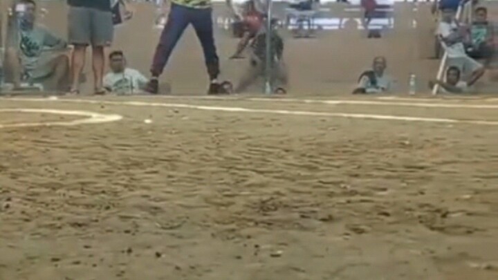 Rja lemon sweater lateborn elems.. ctto buyers video