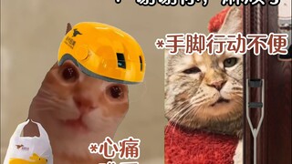Đây không phải là 5 ngày, mà là 5 năm...