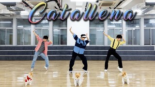 Orange Caramel《Catallena》全曲翻跳