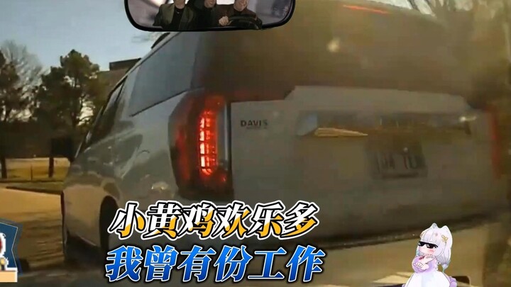 Chú gà vàng: Tôi từng có một công việc!