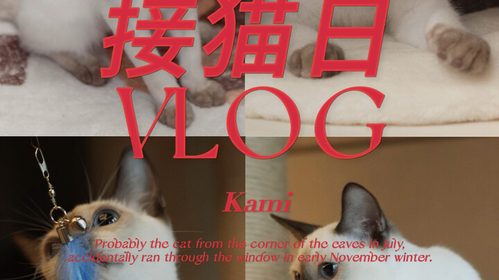 ช่างเป็นการพบตัวจริงที่สะใจเสียเหลือเกิน