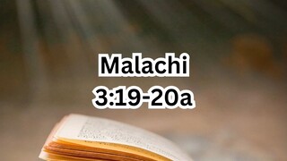 Sunday, November 16, 2025 Thirty-third Sunday in Ordinary Time #faith #readings #ordinarytime2025