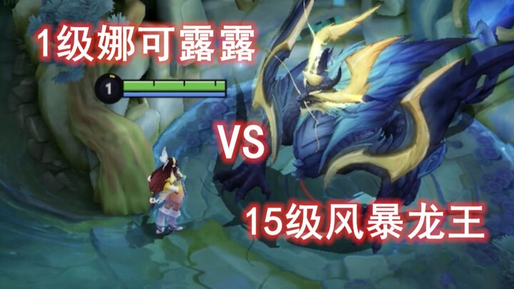 1级娜可露露单挑15级风暴龙王