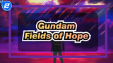 Gundam|Gentle Cover！【Gundam SEED】Fields of Hope_2