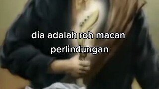 luas macan dari semua kota-kota di Indonesia