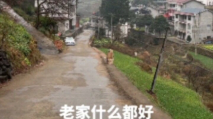 Ini kenapa aku takut pulang ke rumah, aku jadi gusar.