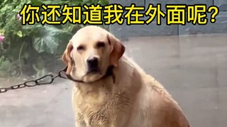 Wang: Do I look like a total sucker to you?