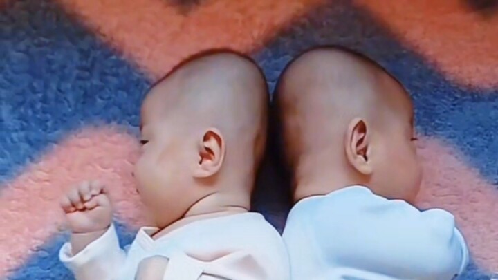 Đinh Đong Tiếu Truyền: Hướng Dẫn Ngủ Để Đầu Bẹt