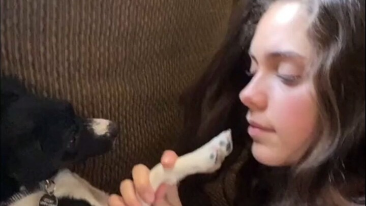 แกล้งทำเป็นจะกินเจ้าหมา