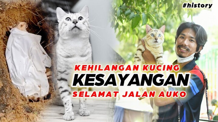 KEHILANGAN KUCING KESAYANGAN, SELAMAT JALAN AUKO #history