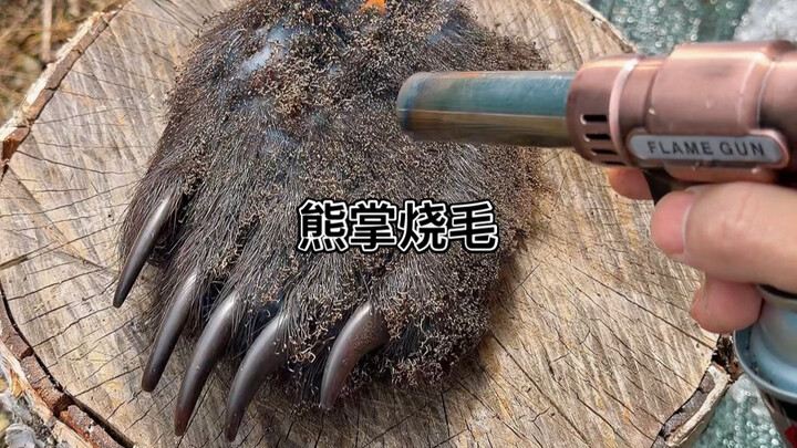 Wasted my bear paw—whose idea was that?