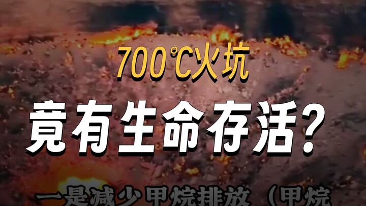 Burning for 54 Years: Scientists in Kevlar Suits Descend into the “Door to Hell”—What Did They Disco