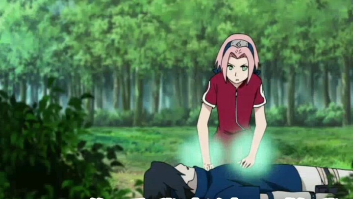 [Sasuke][Haruno Sakura] Selamat datang di rutinitas Melaleuca Sasuke[ Naruto ][Sasakura]