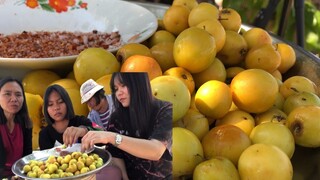 พุทรา หรือว่าบักทัน มาๆจ้า กินส้มบักทันแซ่บๆนำกันจ้า | แม่ชบา พาแซ่บบ