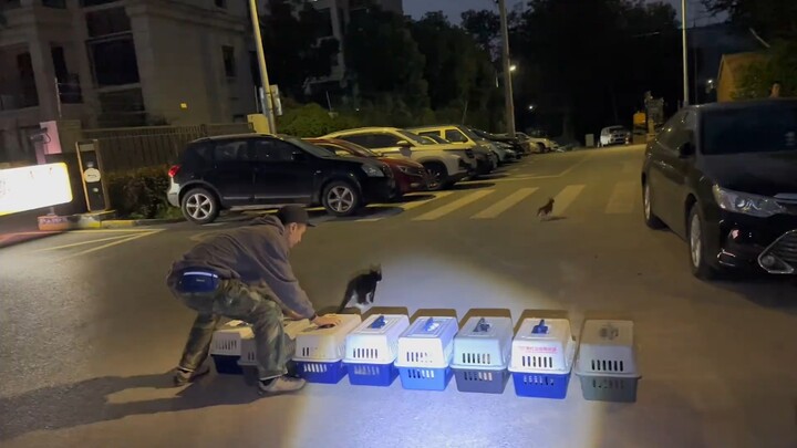 The stage is set, the performers have entered—just waiting for Kimi's street dance performance!