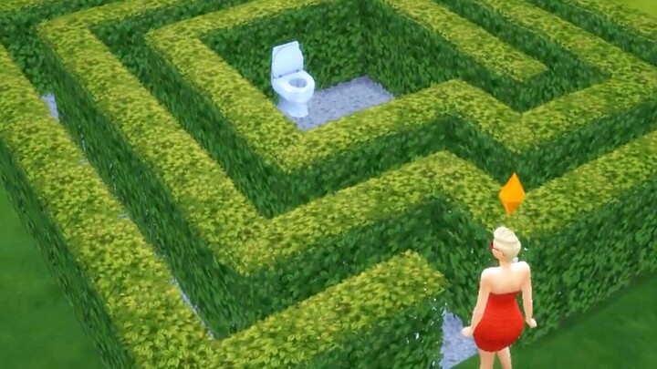 The most perverted maze in the history of games! 99% of players can't get out