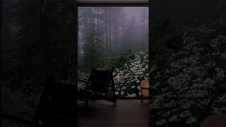 Rain On Window ☔🌼  #cozyambience #rainonwindow #relaxingsounds #rain #shorts