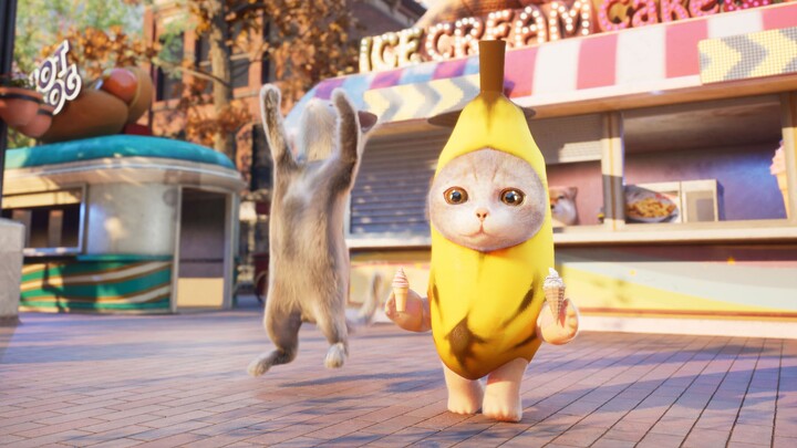 Kucing pisang mengajak kucing bahagia menikmati es krim, siapa sangka malah digebukin ayam