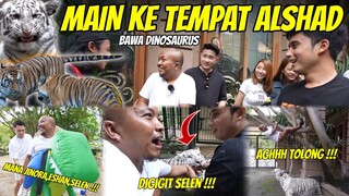 NIAT MAU ADU DINOSAURUS KU DI TEMPAT ALSHAD !!! EH MALAH MAU DI GIGIT SELEN !!!